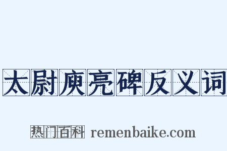 太尉庾亮碑反义词是什么意思的图片